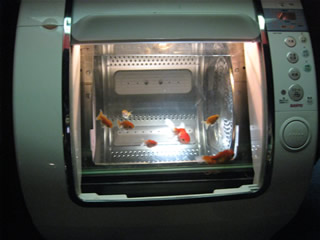 aquarium_bkk-10.jpg