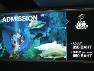 aquarium_bkk-2.jpg
