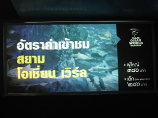 aquarium_bkk-3.jpg