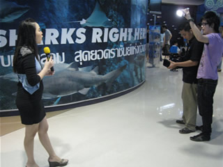 aquarium_bkk-4.jpg
